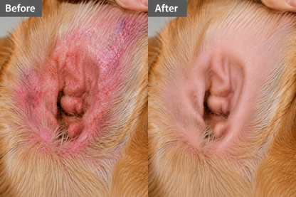 Gamlily™ 💧Pet Ear Drops for Dogs & Cats