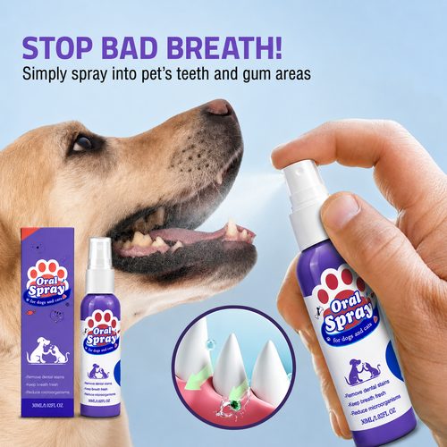 Gamlily® Pet Oral Spray ✅Freshen Breath, Remove Tartar & Promote gum regeneration, stabilize teeth 🦷